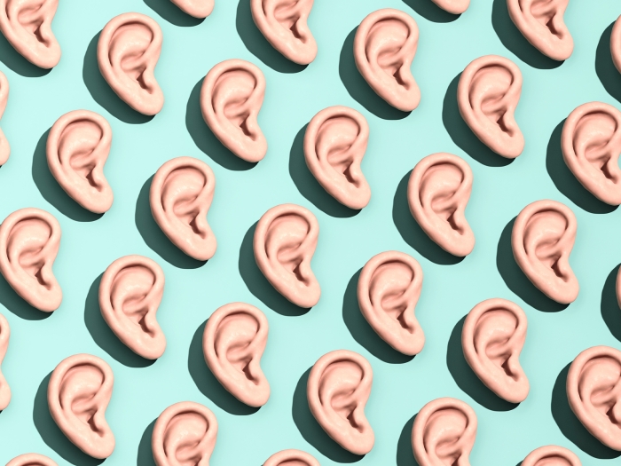 ears pattern on teal background