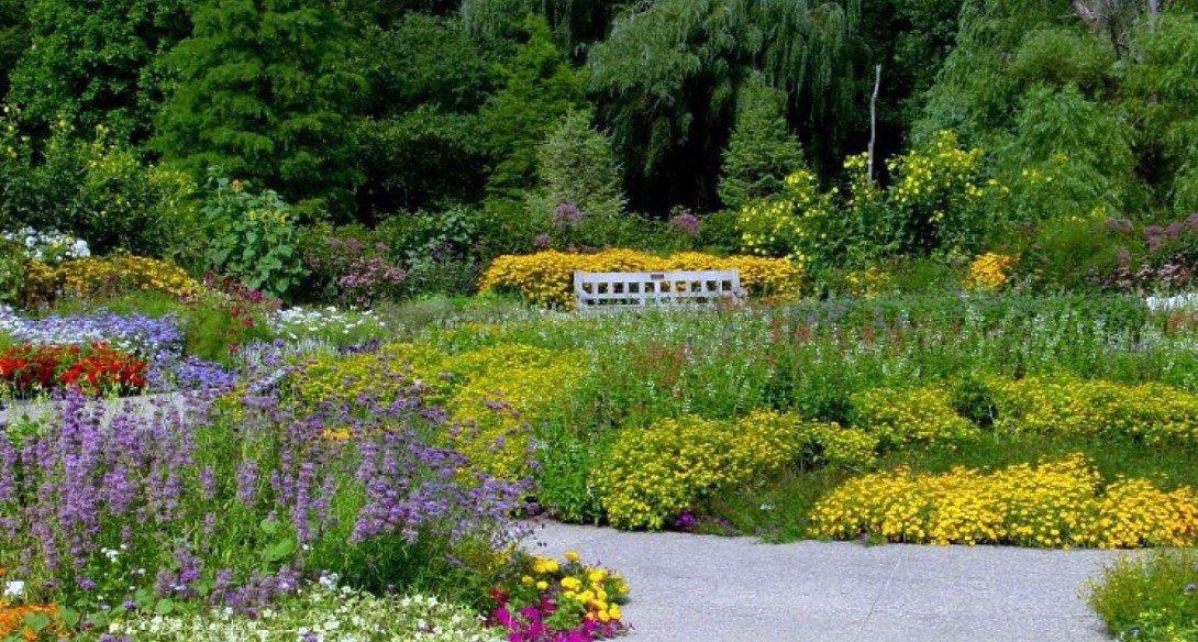 Matthei botanical garden with colorful flowers and a bench