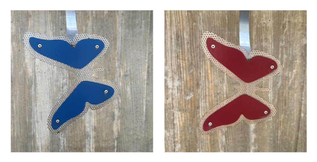 on the left is metal shaped butterfly in blue and to the right is the same in cranberry