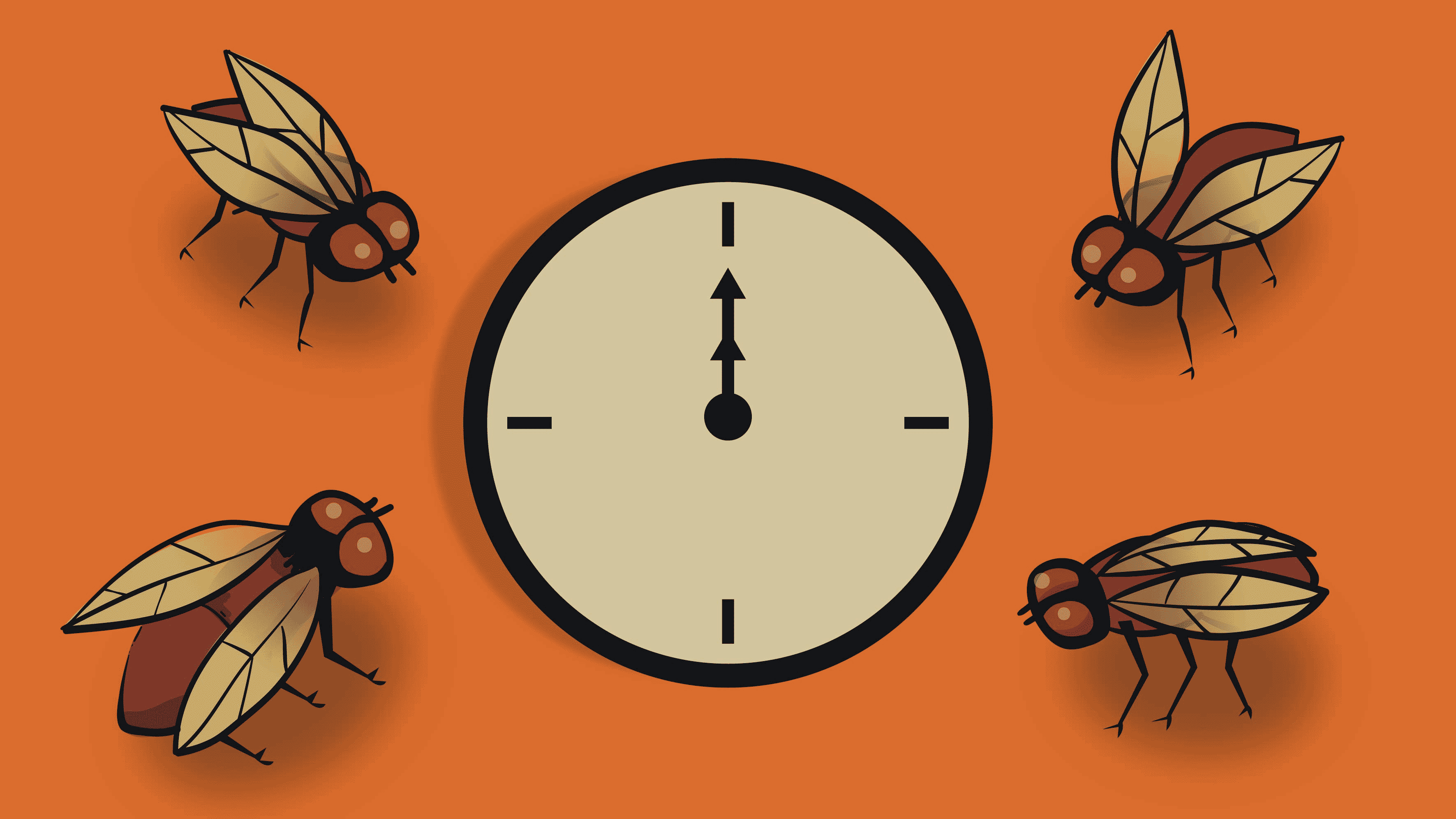 fruit flies around a clock moving in orange and brown 