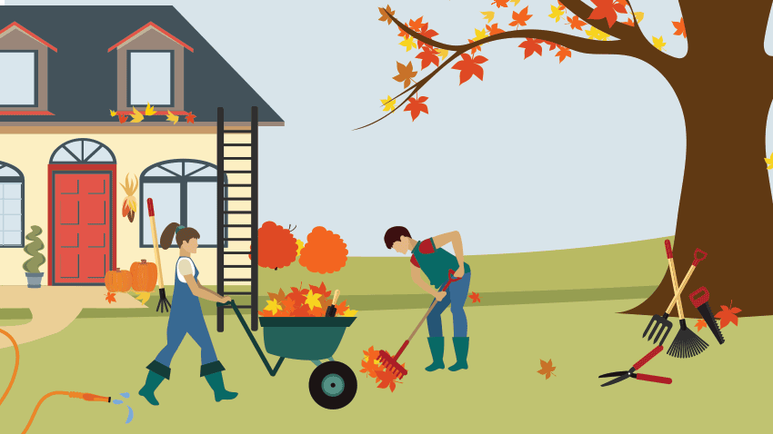 A couple doing fall yard work safely
