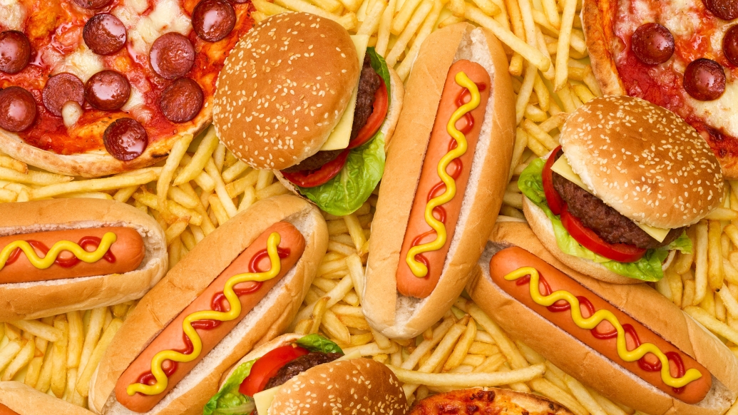 Hot dog, pizza, hamburgers and fries