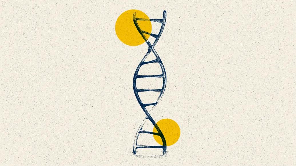 dna yellow blue