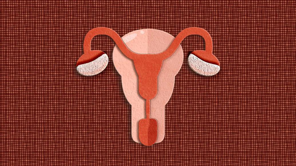 uterus image felt graphic red