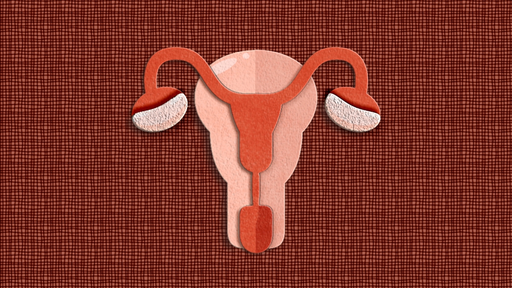uterus image felt graphic red
