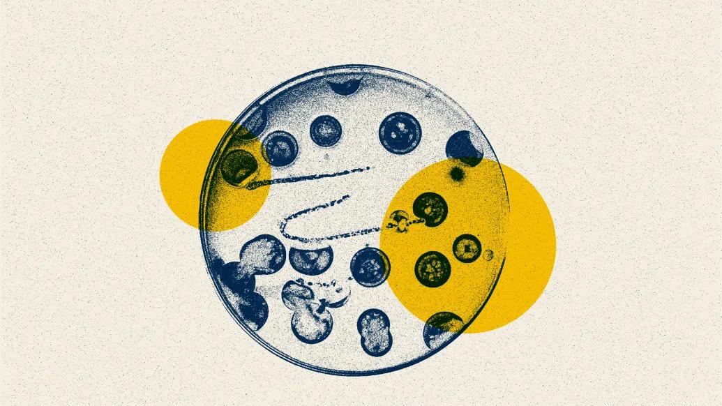 bacteria blue yellow