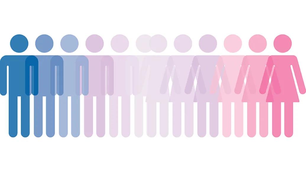 illustration of people icons spanning from a blue figure to a pink figure