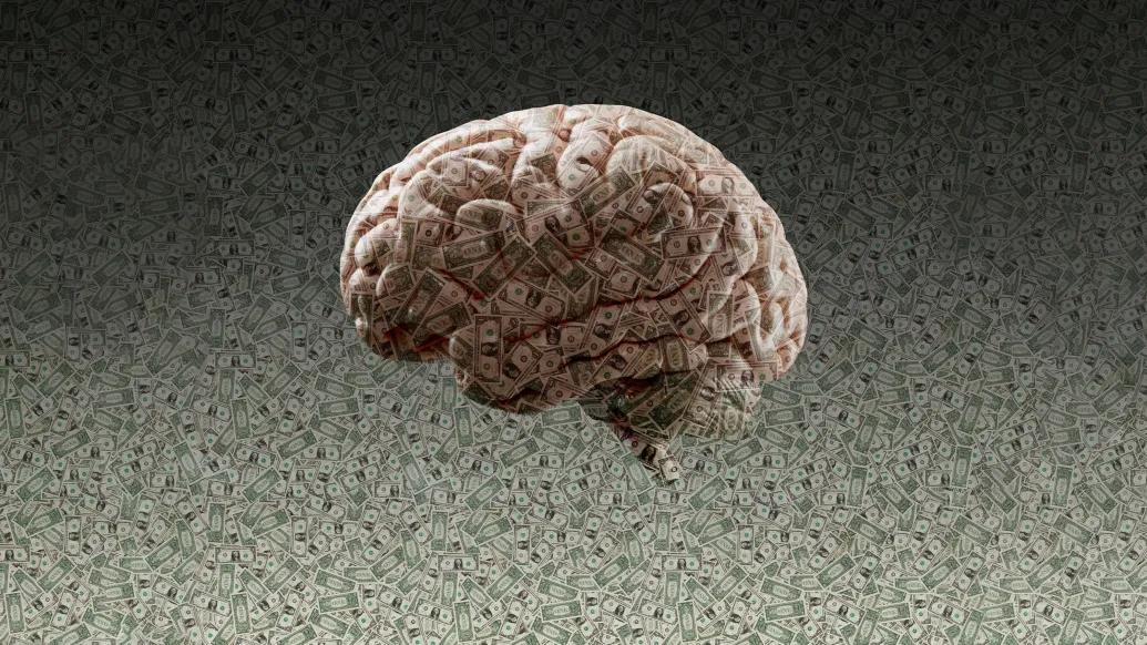brain with money on it