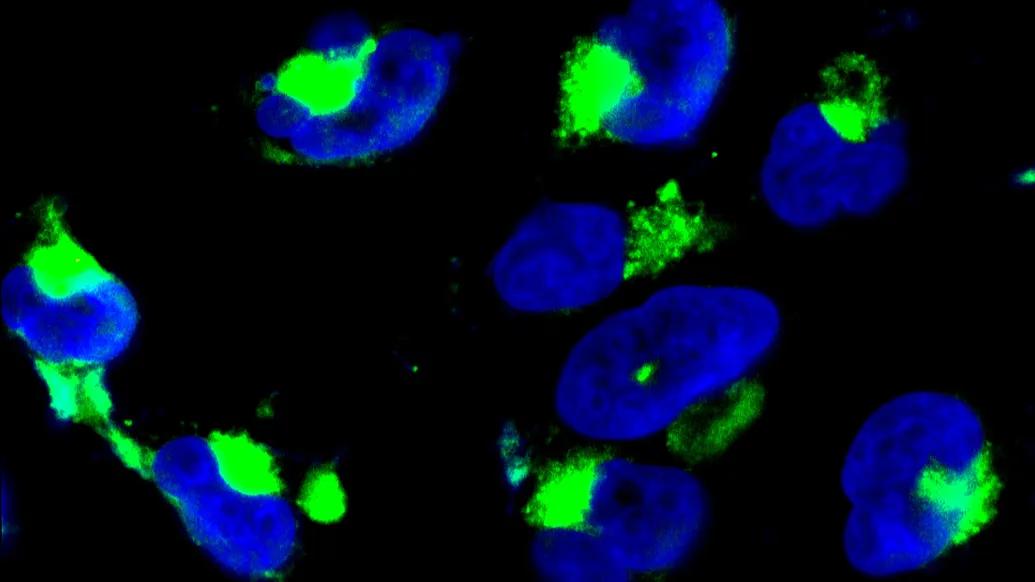 nanoparticles floating green blue