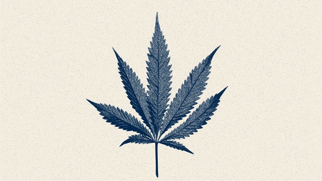 cannabis leaf sketched blue