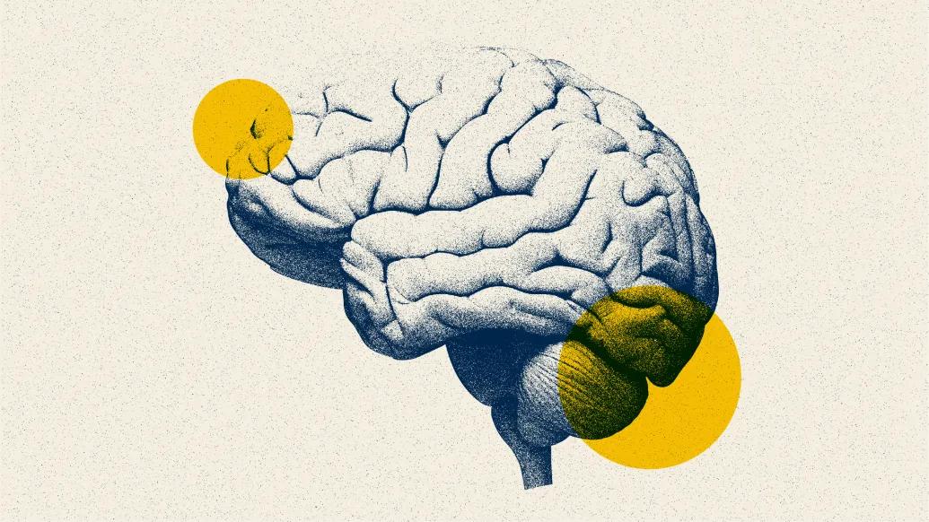 brain blue yellow sketch