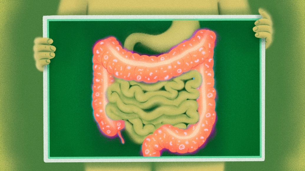 green background intestines in pink
