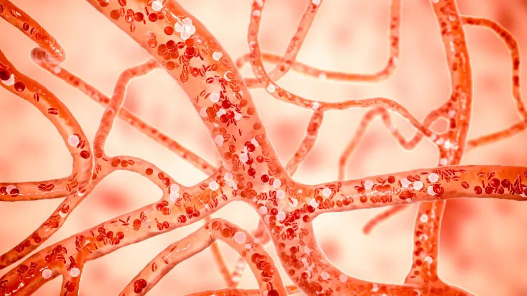 Close up image of red blood cells moving through veins