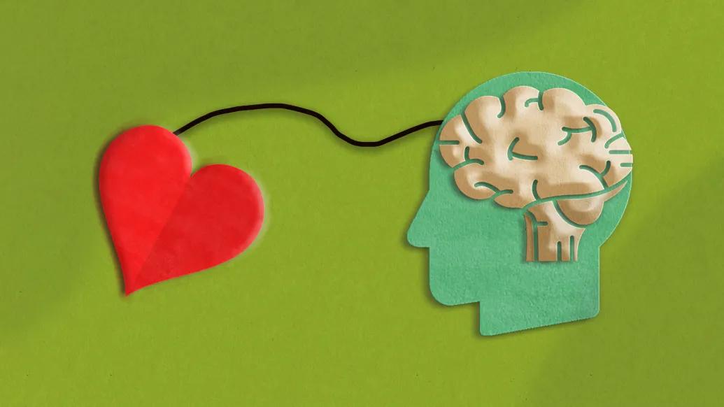 green background connecting to teal skull with brain inside both just outlines made out of felt 