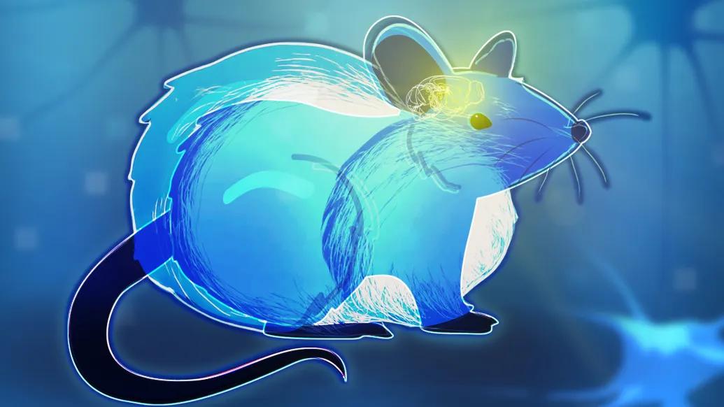 rat in blue with yellow bright brain with blue abstract background