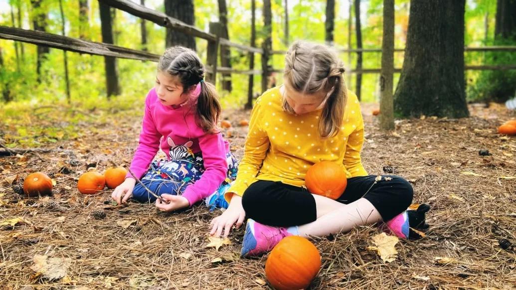 little girls who are sisters sitting in outside area with pumpkins in pink and yellow shirt 