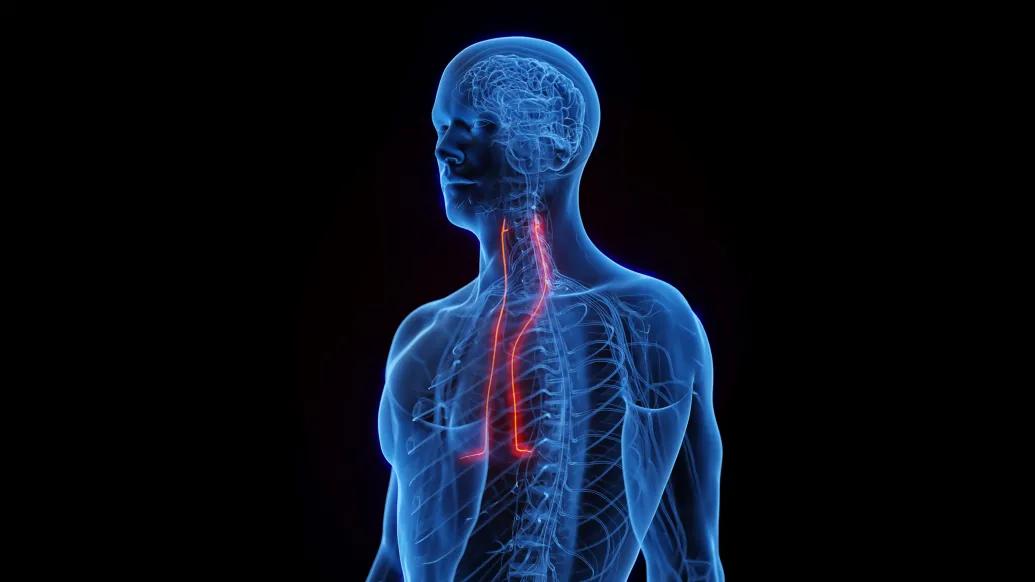 see through blue person with red lines running through neck to chest
