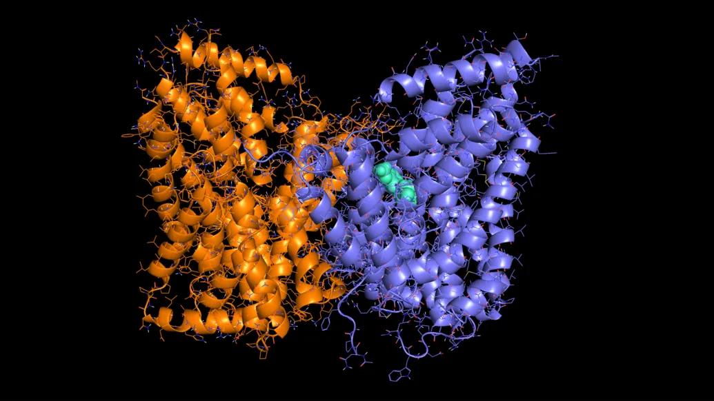close up of orange and purple squiggle-looking cells merging and a little green in the middle