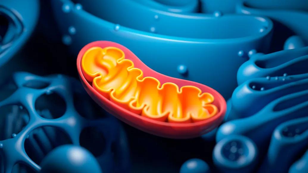 orange cell in blue cells