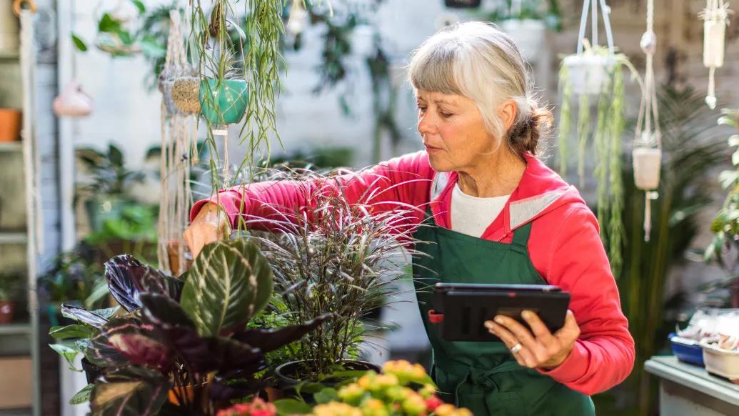 older woman taking care of plants at a job