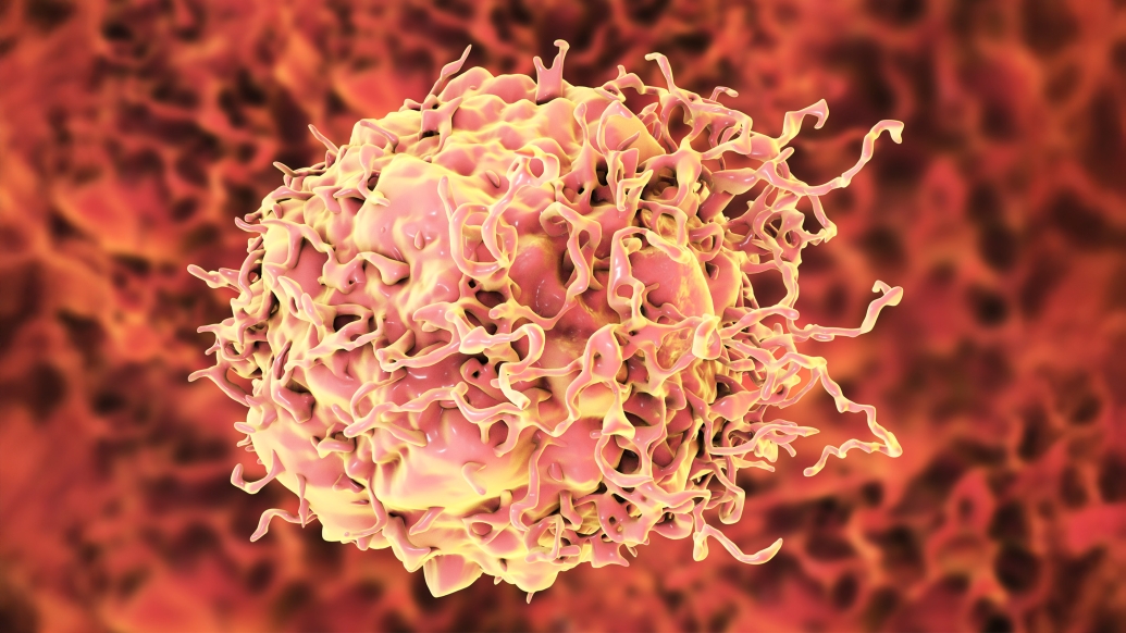 red cancer cell on red background