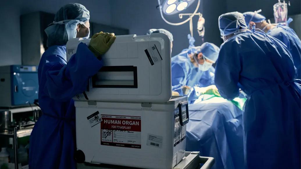 doctors in surgery room over surgery table with cooler open with labels on it