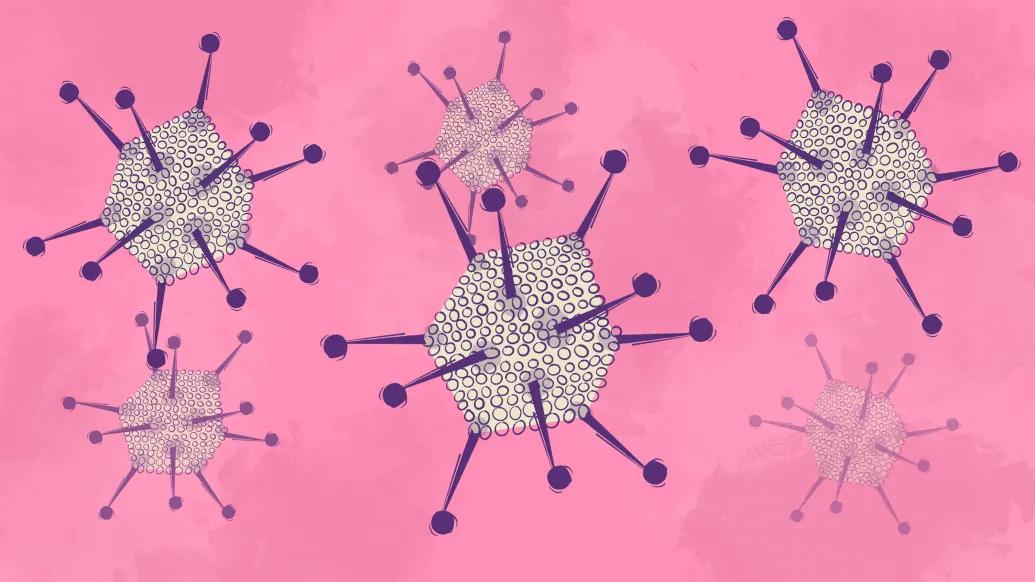 cells spikey on pink background purple spikes