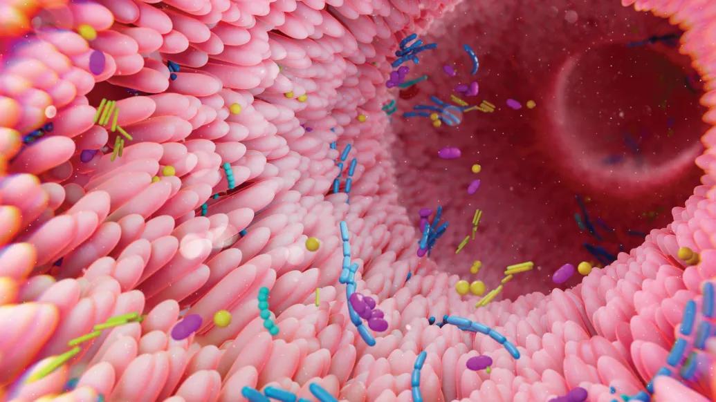 light pink cells of stomach lining with blue and yellow and purple cells floating around 