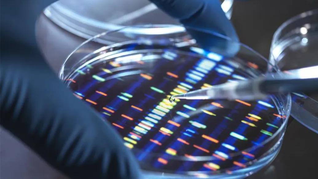 close up of genetic coding in dish colorful blue lab gloves