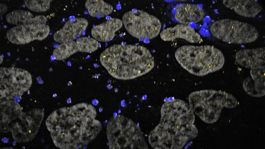 cells flowing black background grey blue dots lighting up