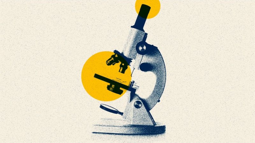 microscope drawing in navy and yellow with off white background