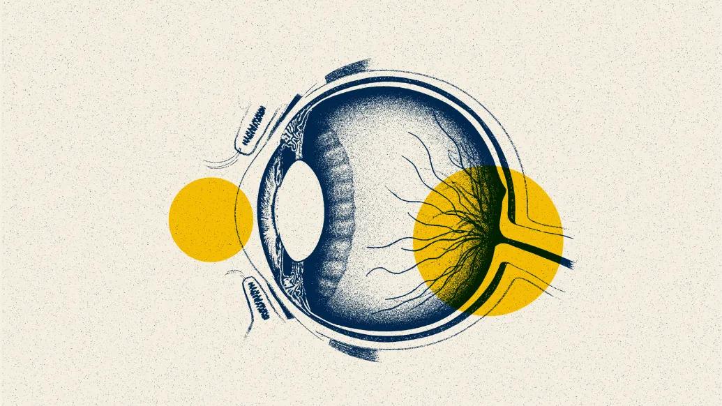 eye drawing blue yellow highlight 