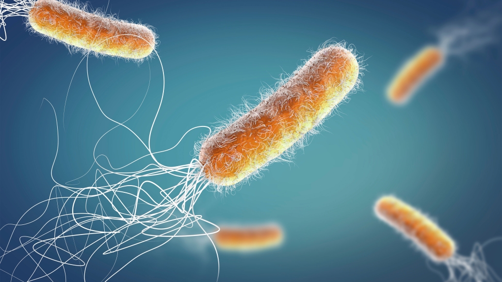 orange long germ cell floating through air with blue background with white strings following each which are going in all different directions
