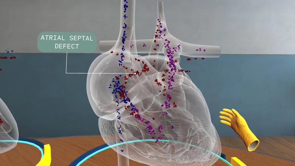 see through heart on table through virtual reality set up