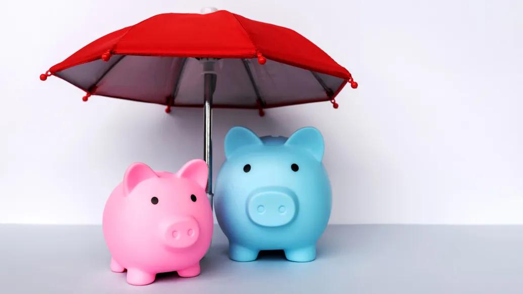 one pink pig and one blue pig under a red umbrella