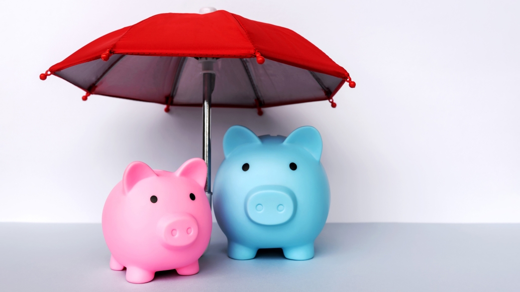 one pink pig and one blue pig under a red umbrella