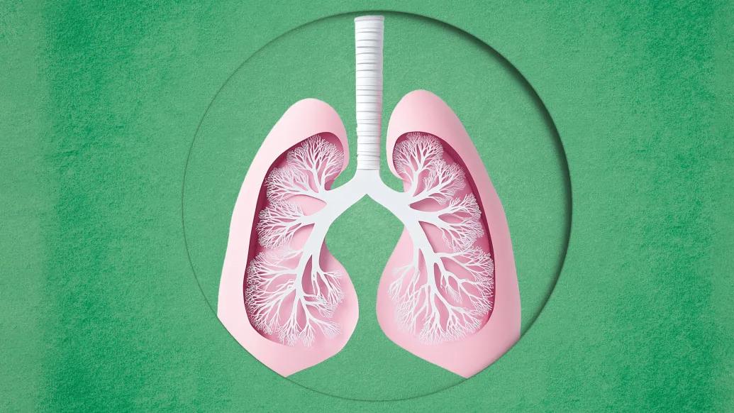 lungs pink green background 