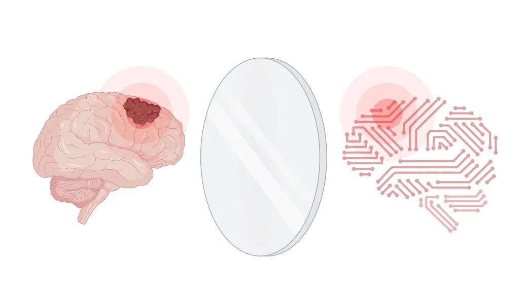 The illustration depicts a brain with a glioma and its digital twin. 