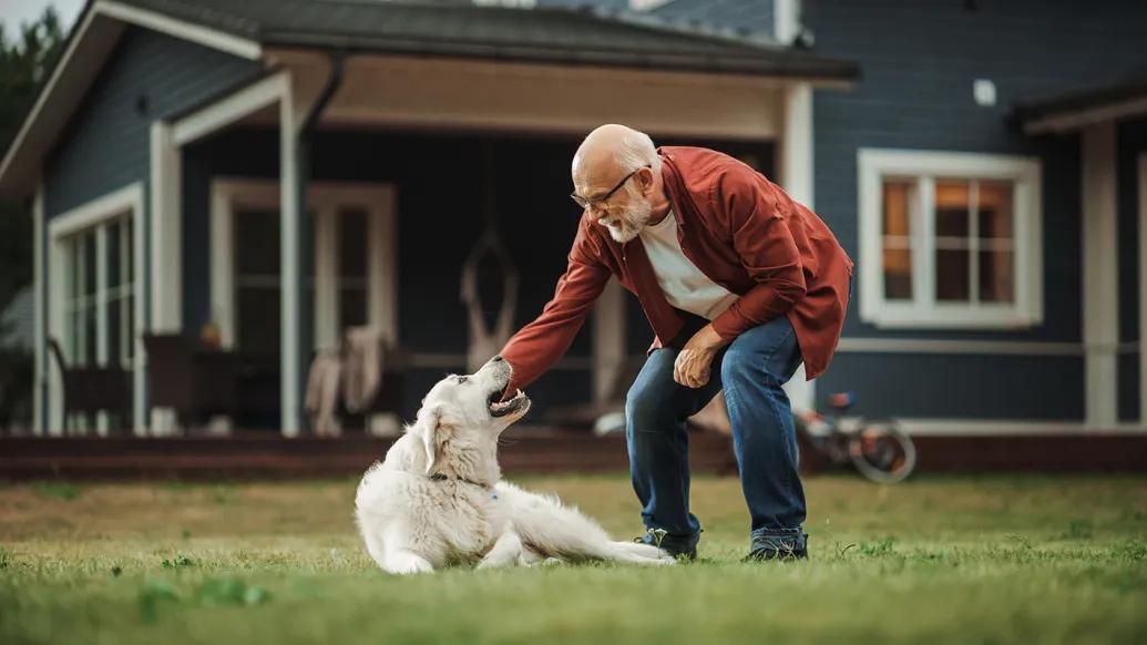 man leaning down to dog petting outside of a house on green grass