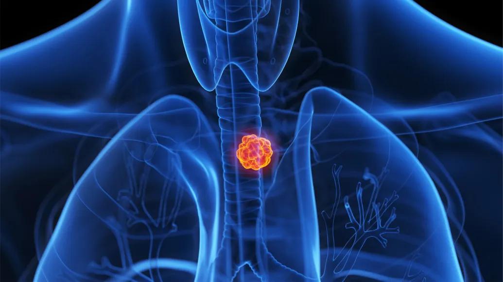 red cells clustered together inside body black light up blue see through