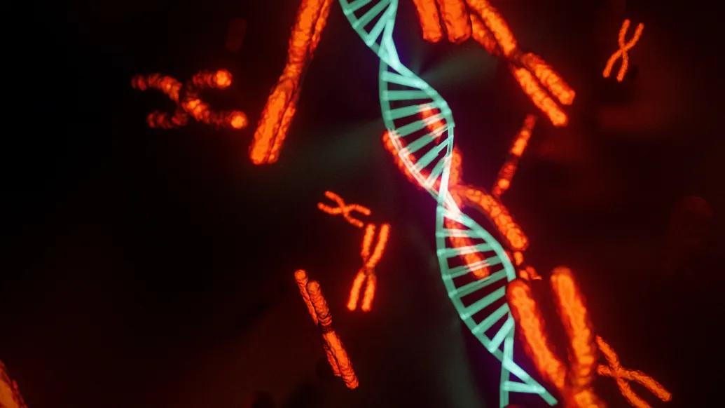 Computer image of a blue DNA strand and red chromosomes on a black background