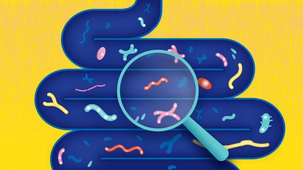 microbes inside gut yellow 