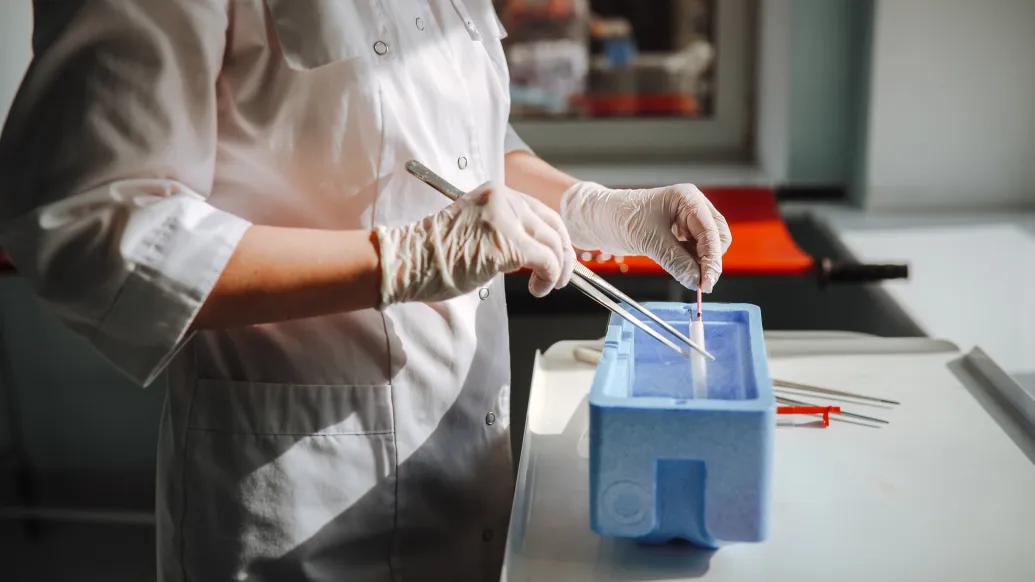 egg freezing in lab 
