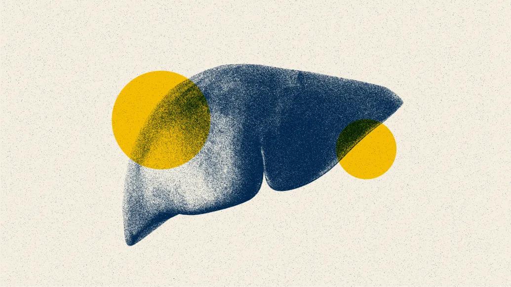 liver with yellow circles over it