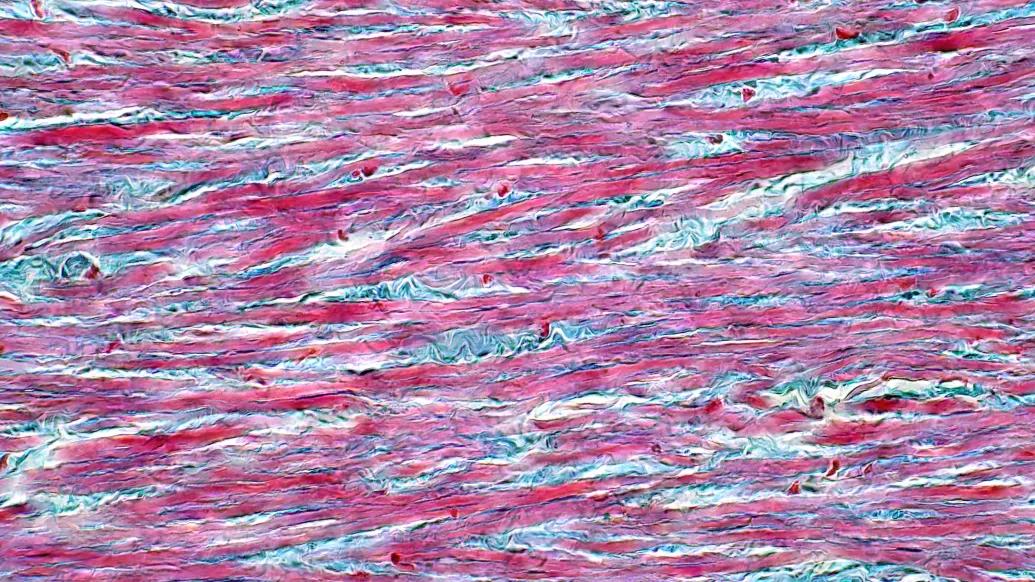 pink and blue mixed in close up