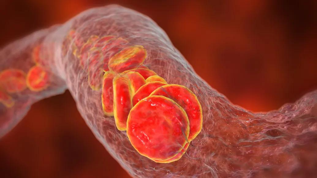 red blood cells going through clear tube red background