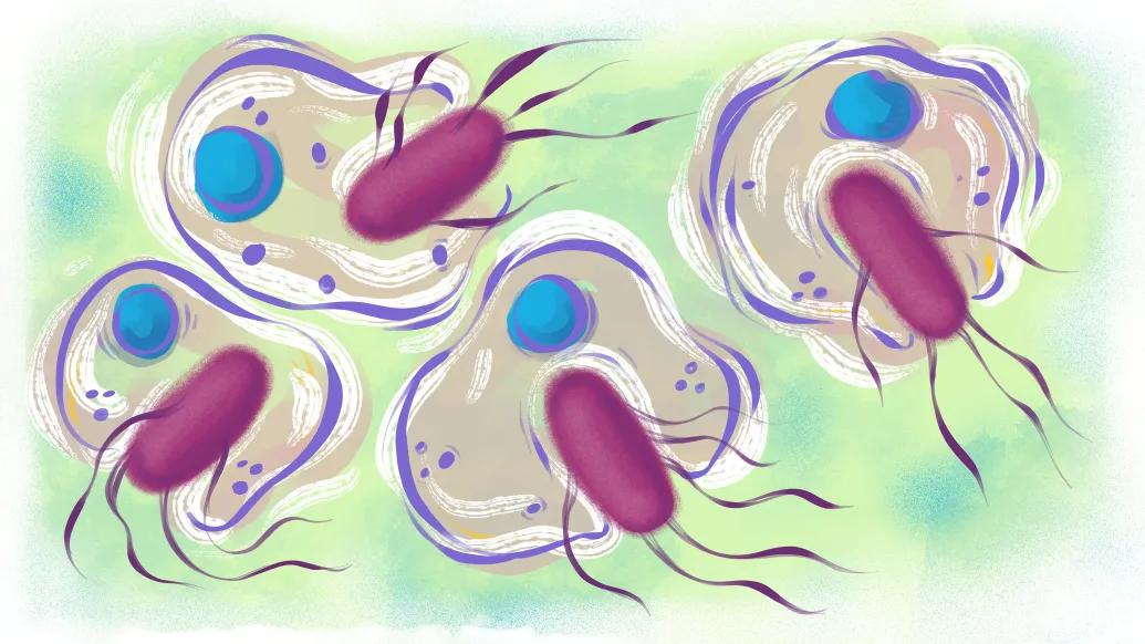 cells floating close up green blue pink 
