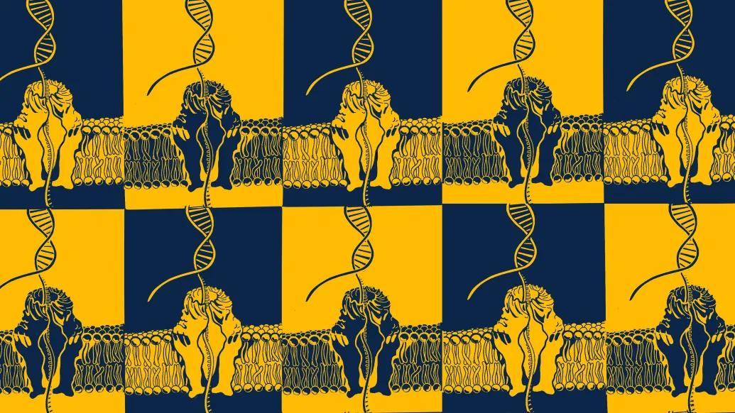pattern up close sequencing gene navy yellow