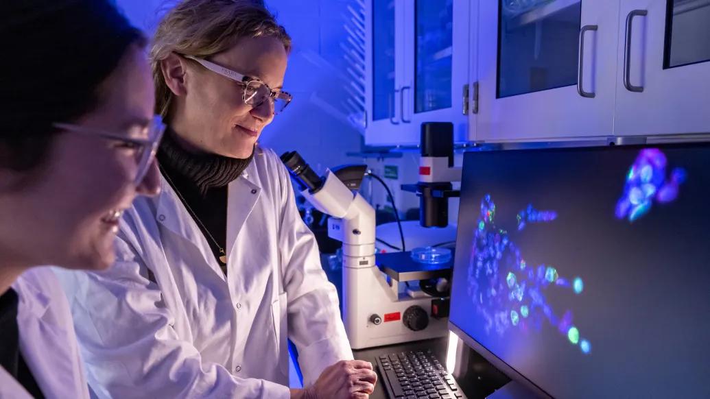 Michelle Hastings, Ph.D. and lab member look at molecule on computer screen.