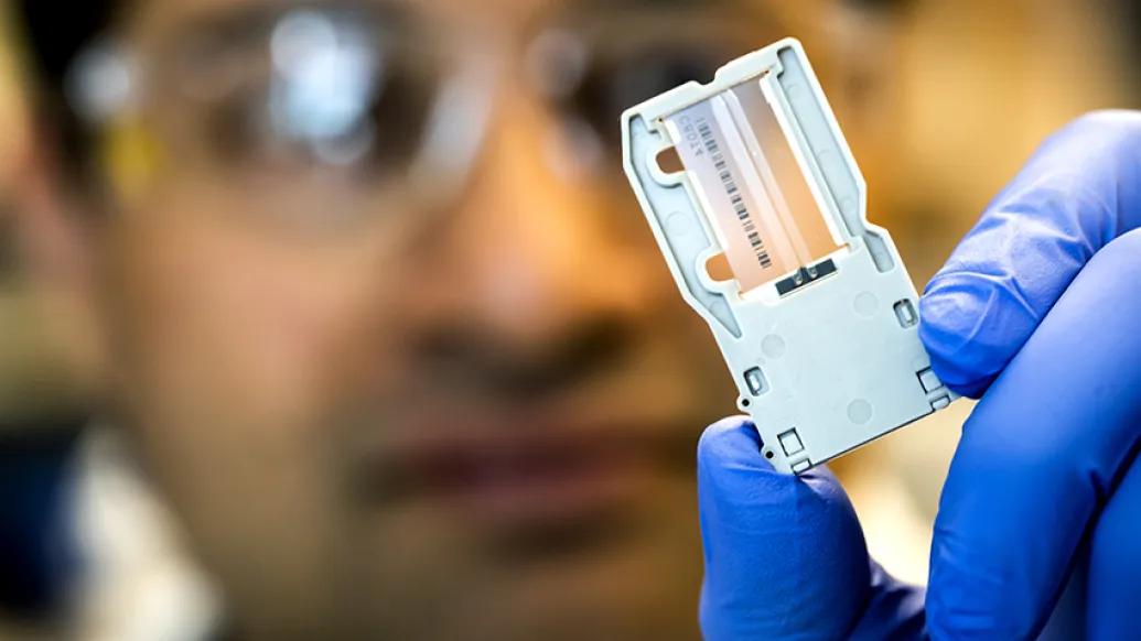 Doctors looking at sample